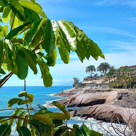 Apartmán Ocean View - Cristianos Los Cristianos (Tenerife)