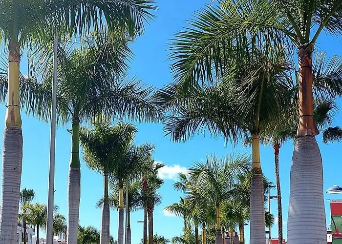 Ocean View - Cristianos Διαμέρισμα *